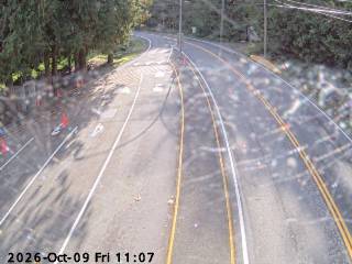 Live view of the Earls Cove terminal compound