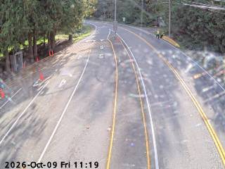 Live view of the Earls Cove terminal compound